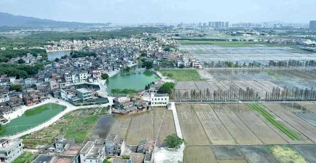 從長沙街道西溪村上空俯瞰，遠(yuǎn)處青山疊翠、高樓聳立，近處屋舍儼然，池塘星羅棋布，農(nóng)田成方連片